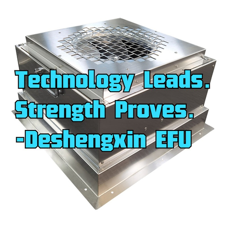 Technology Leads.Strength Proves.-Deshengxin EFU.jpg